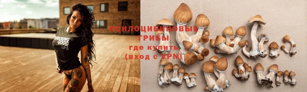 ГАЛЛЮЦИНОГЕННЫЕ ГРИБЫ Лабытнанги