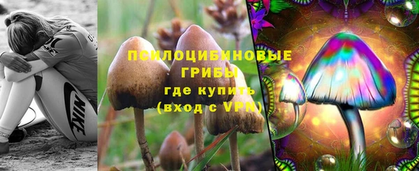 бошки Лагань