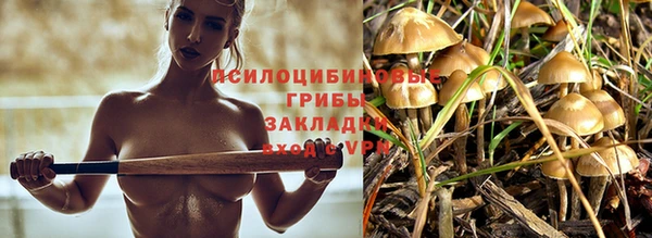 экстази Лихославль