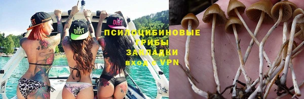 ГАЛЛЮЦИНОГЕННЫЕ ГРИБЫ Лабытнанги