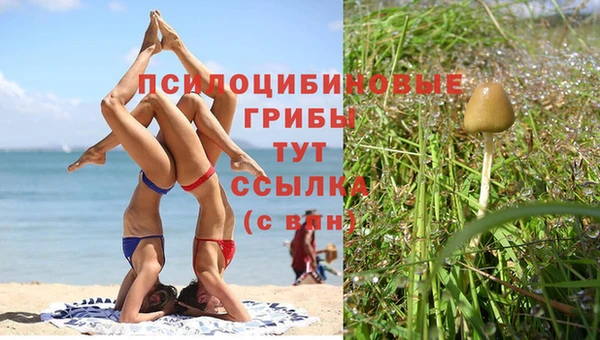 ГАЛЛЮЦИНОГЕННЫЕ ГРИБЫ Лабытнанги