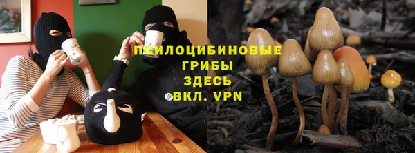 бошки Лагань