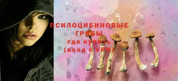 ГАЛЛЮЦИНОГЕННЫЕ ГРИБЫ Лабытнанги