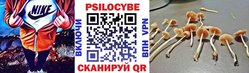 дарнет шоп  Спасск  Галлюциногенные грибы ЛСД 